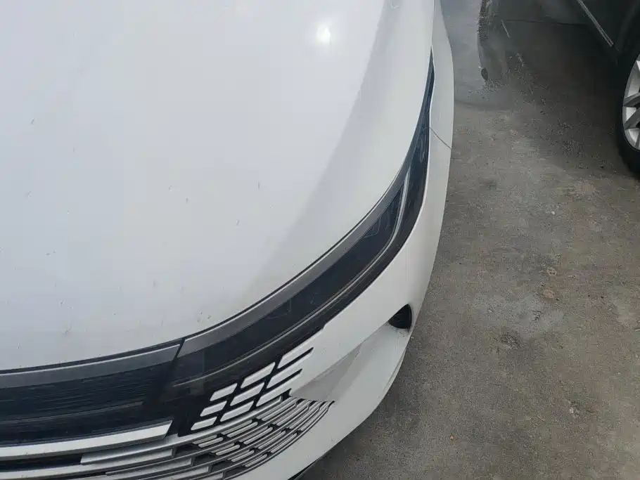 BYD Destroyer 05 2023 Champion DM-i 55KM Luxury