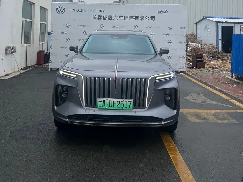 Hongqi Hongqi E-HS9 - фото 2