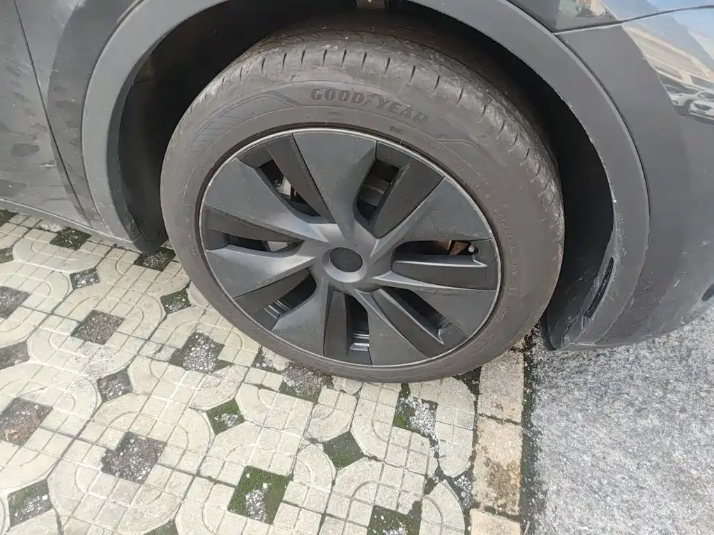 Tesla Model Y — миниатюра 25