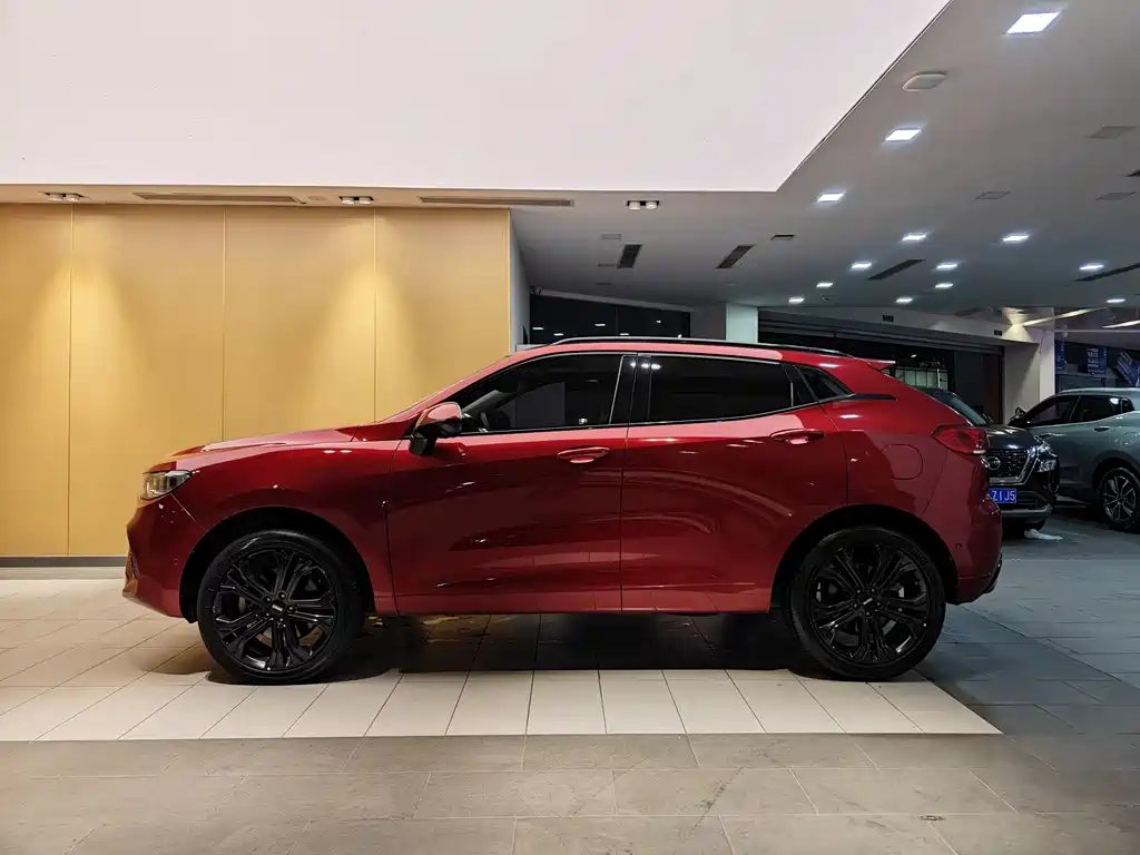 WEI PAI WEI BRAND VV5