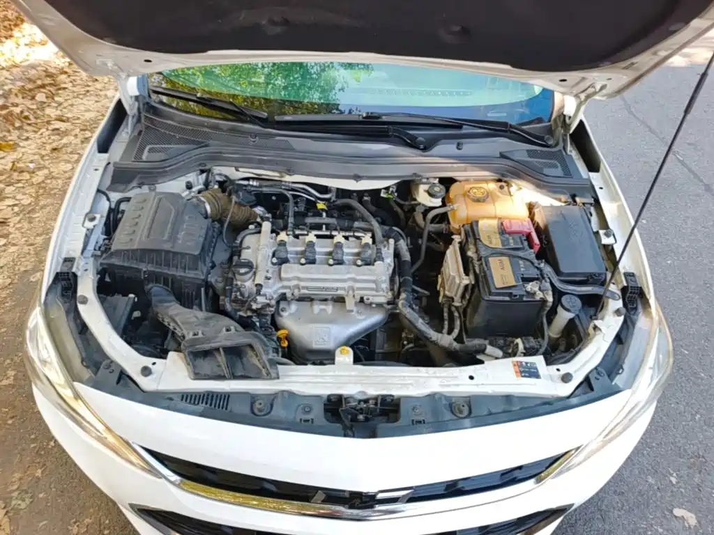 Chevrolet Cavalier — миниатюра 20