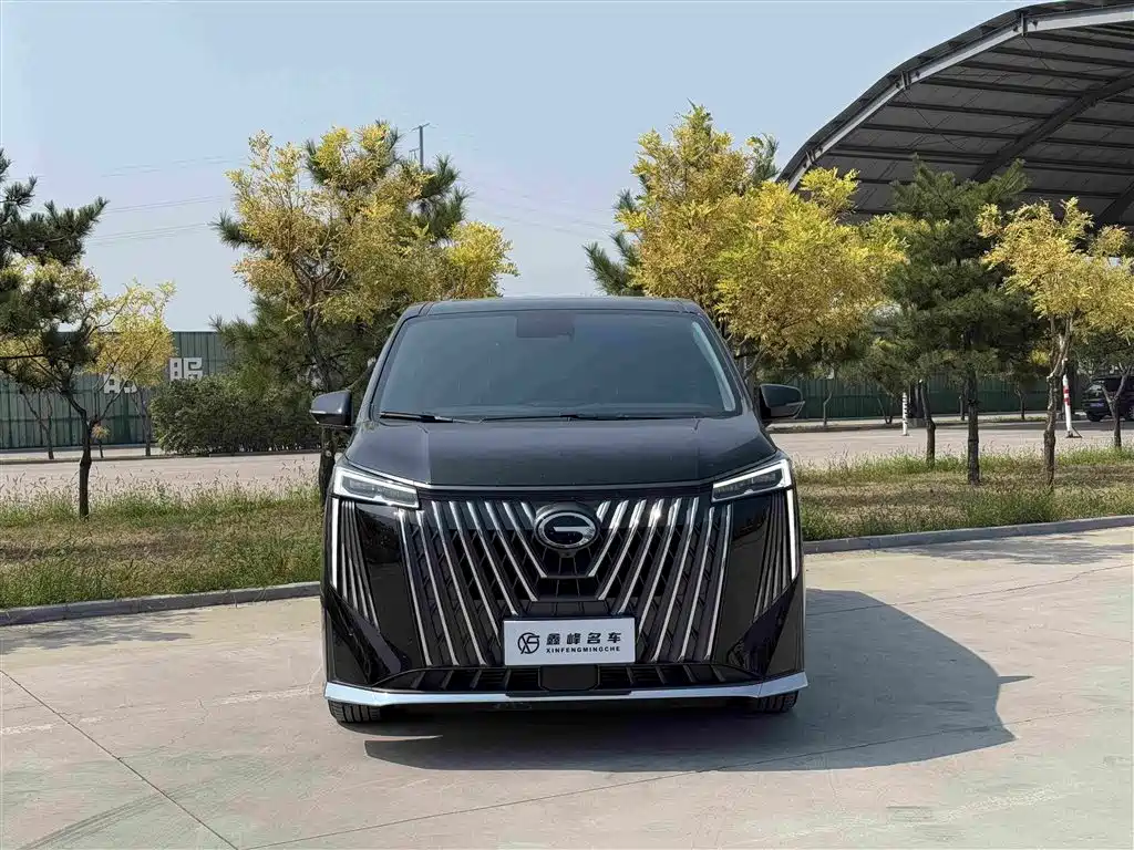 GAC Motor Trumpchi M8 — миниатюра 2