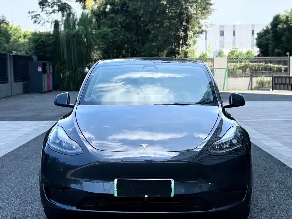 Tesla Model Y — миниатюра 5