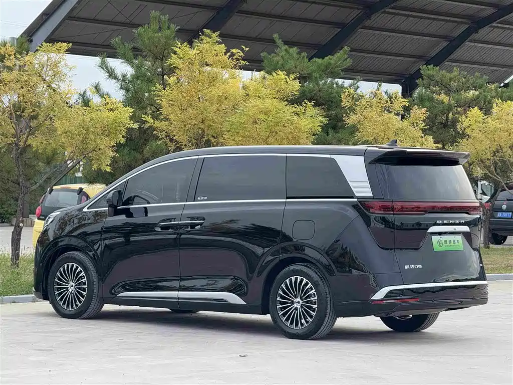 Denza Denza D9 — миниатюра 33