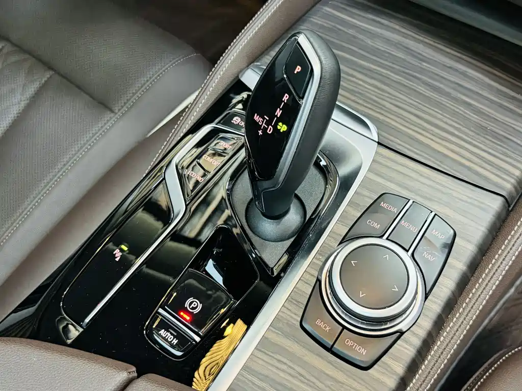 BMW 5 Series 5 2022 530Li Lead Luxury