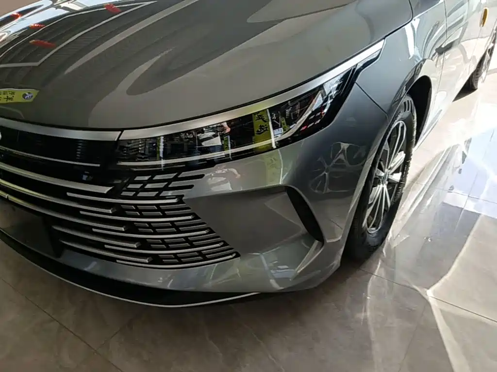 BYD Destroyer 05 — миниатюра 24