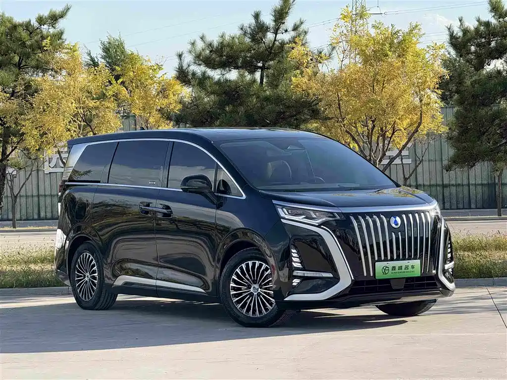 Denza Denza D9 — миниатюра 3