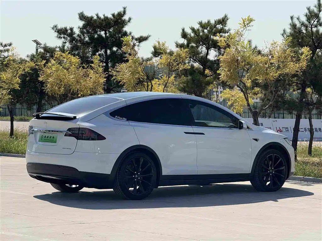 Tesla Model X — миниатюра 27