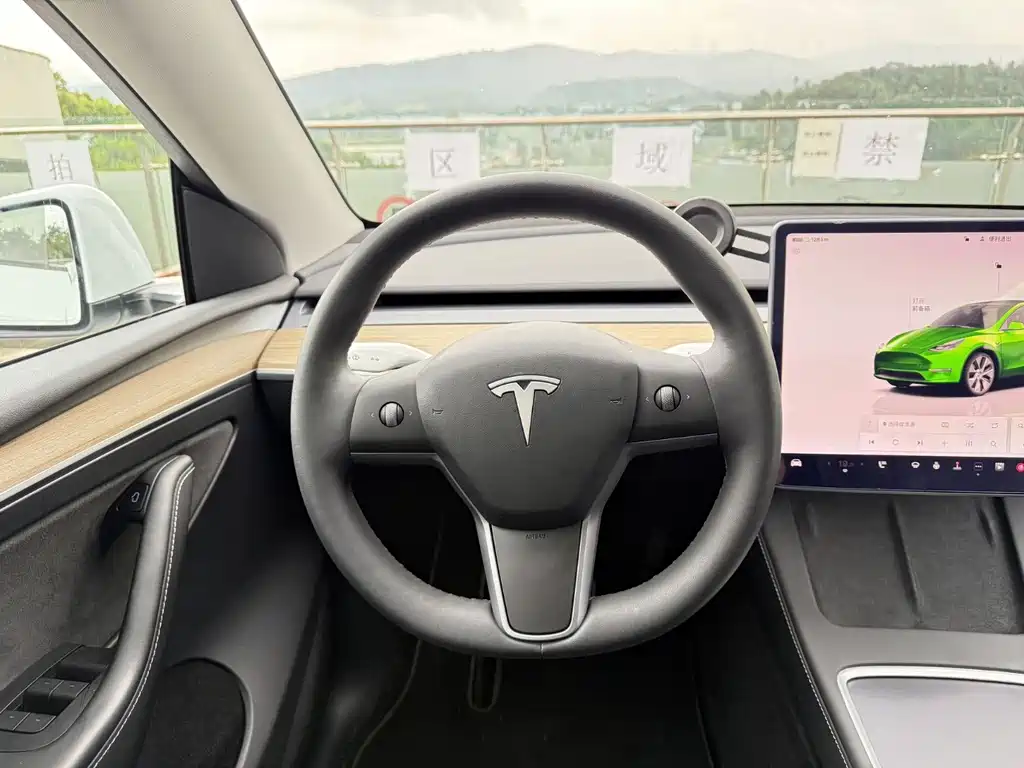 Tesla Model Y — миниатюра 8
