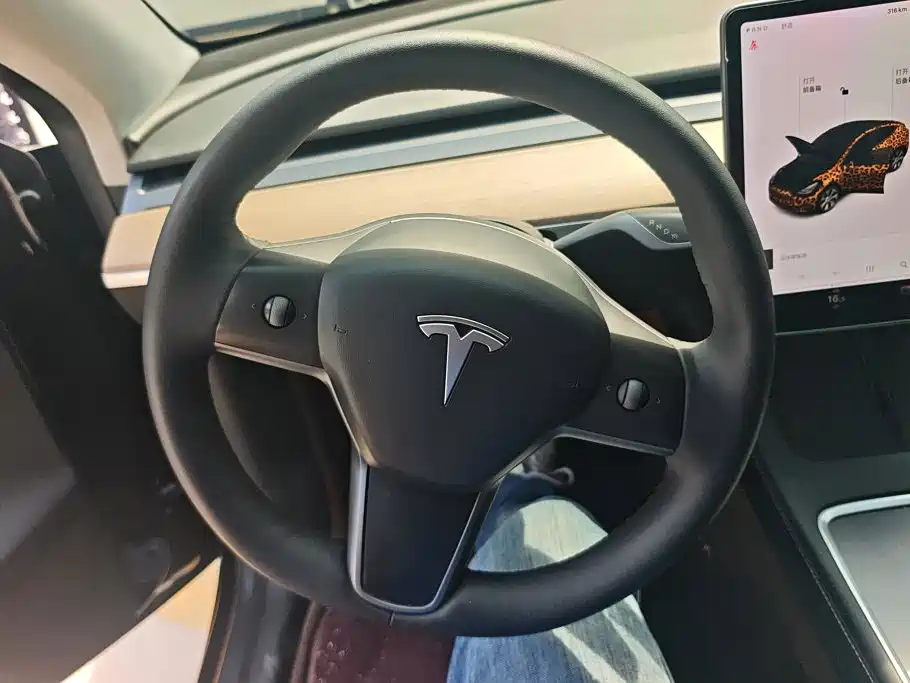 Tesla Model Y — миниатюра 15
