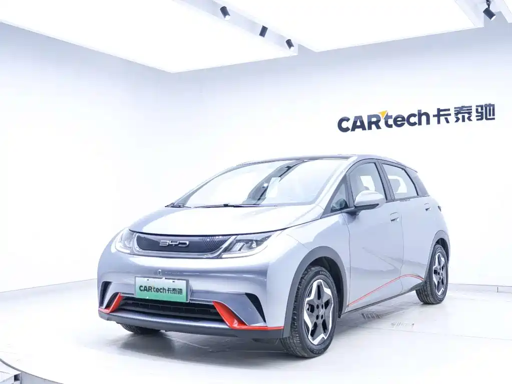 BYD Dolphin 2021 405km Fashion