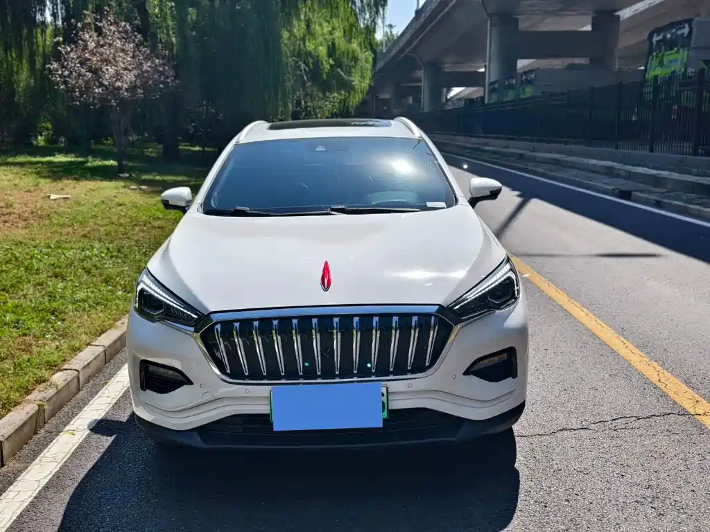 Hongqi Hongqi E-HS3 — миниатюра 2