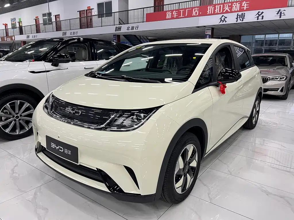 BYD Dolphin