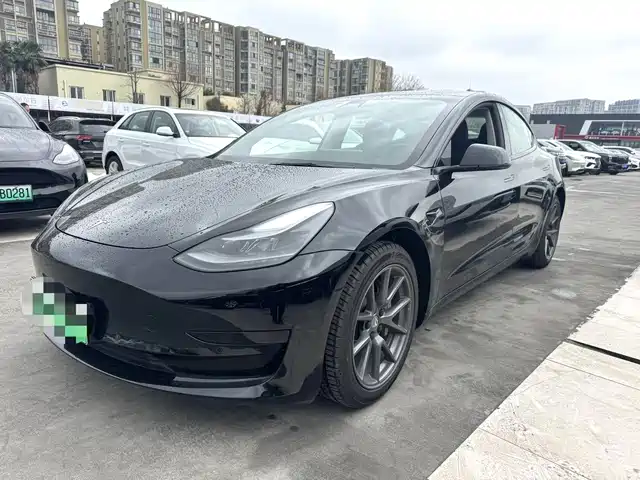 TESLA MODEL 3 2021