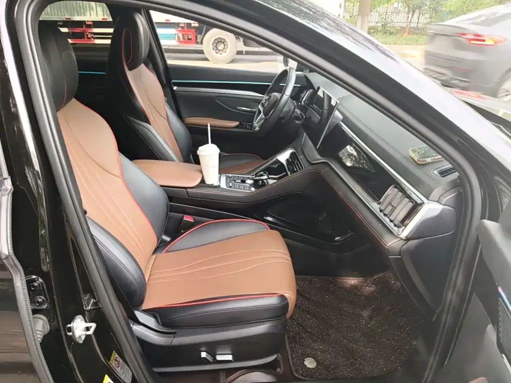 BYD PLUS — миниатюра 25