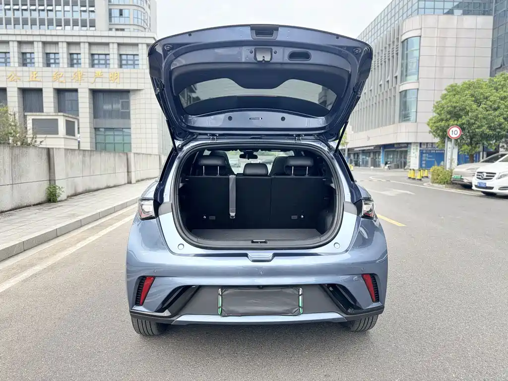 BYD Dolphin — миниатюра 20