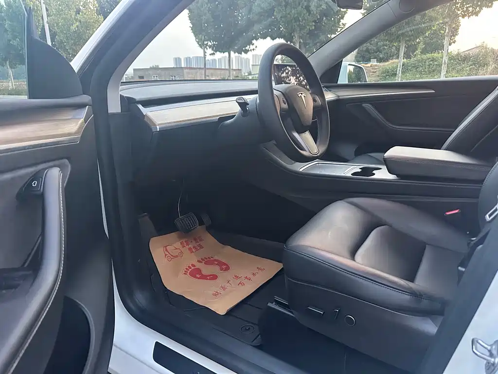 Tesla Model Y — миниатюра 4