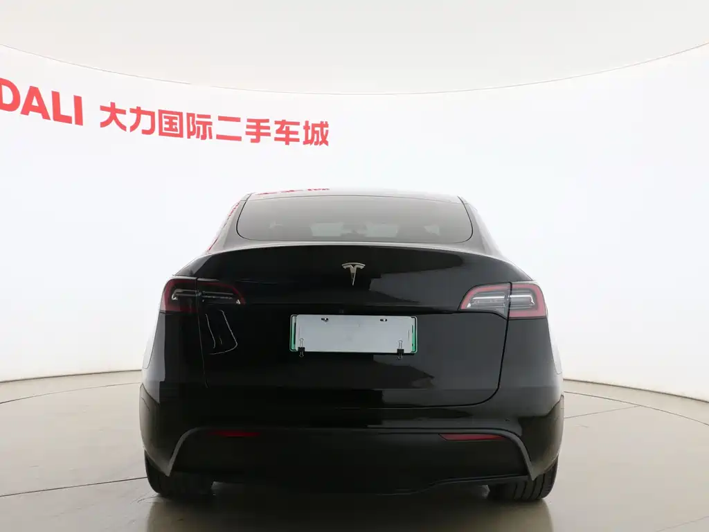 Tesla Model Y — миниатюра 13