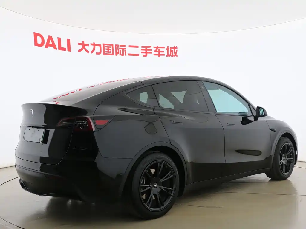 Tesla Model Y — миниатюра 14