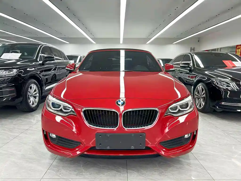 BMW 2 Series (Import) — миниатюра 2