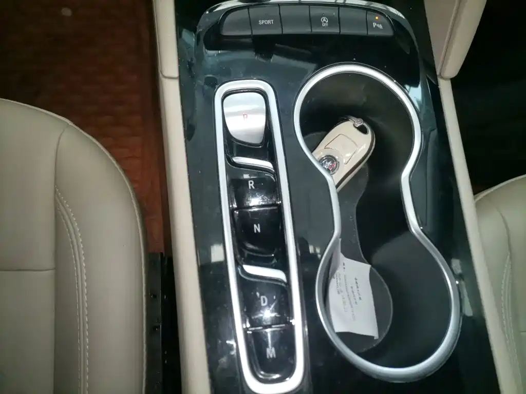 Buick Regal — миниатюра 14