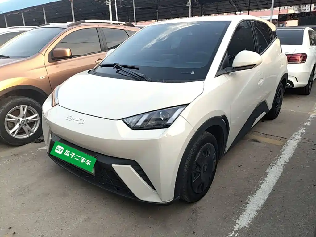 BYD Seagull