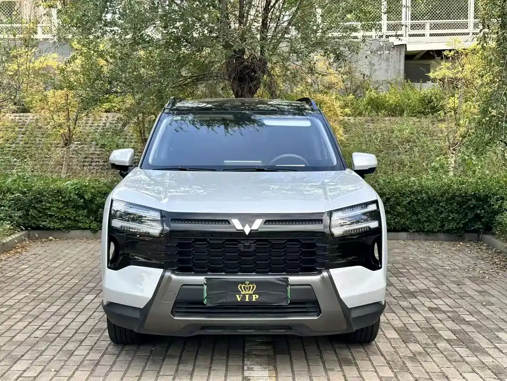 Wuling Xingguang 560 New Energy — миниатюра 2