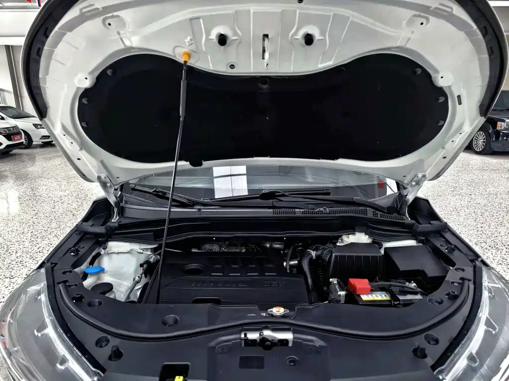 Haval M6 PLUS 1.5T DCT Luxury Connected Type, фото 19