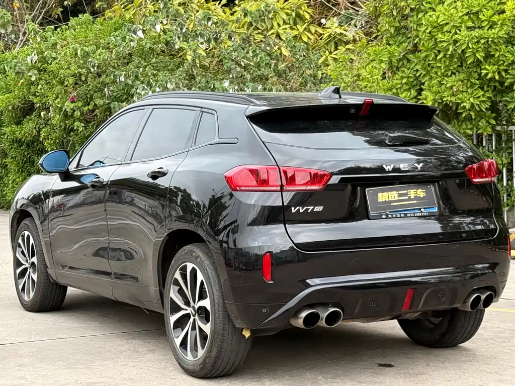 WEI PAI WEI BRAND VV7