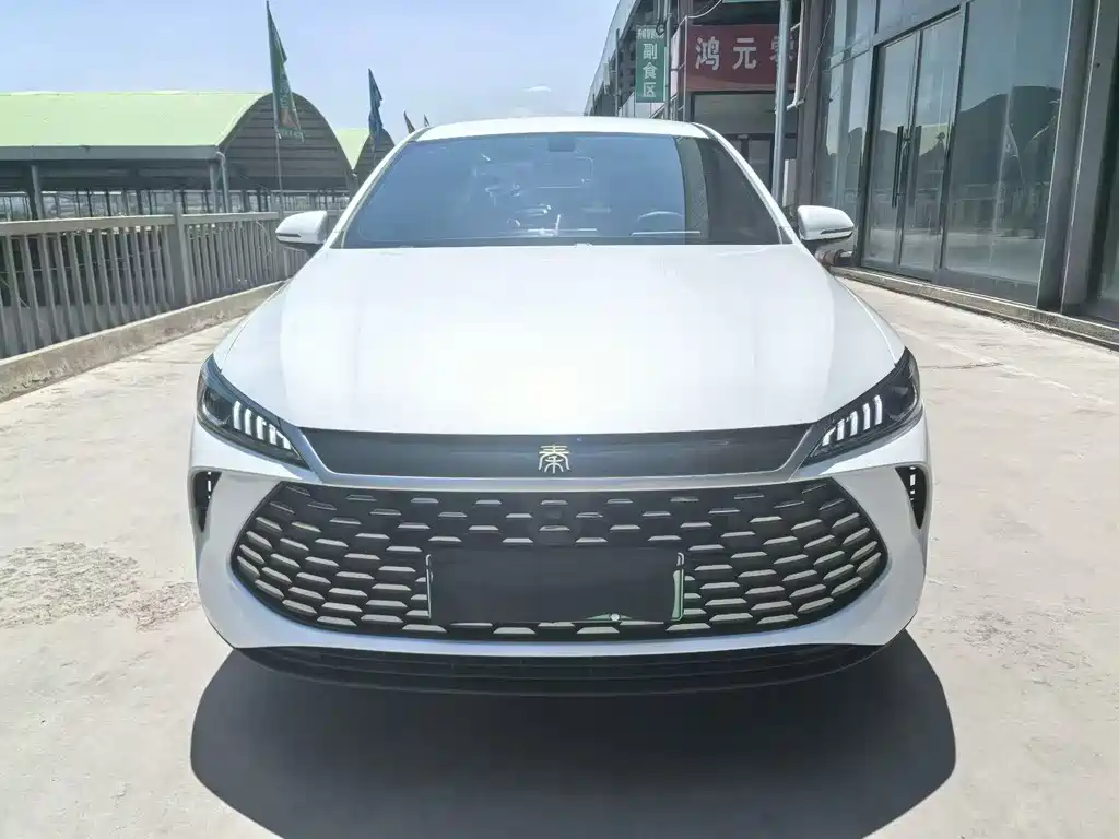 BYD Qin Plus PLUS 2025 DM-i Smart Drive 55KM Lead