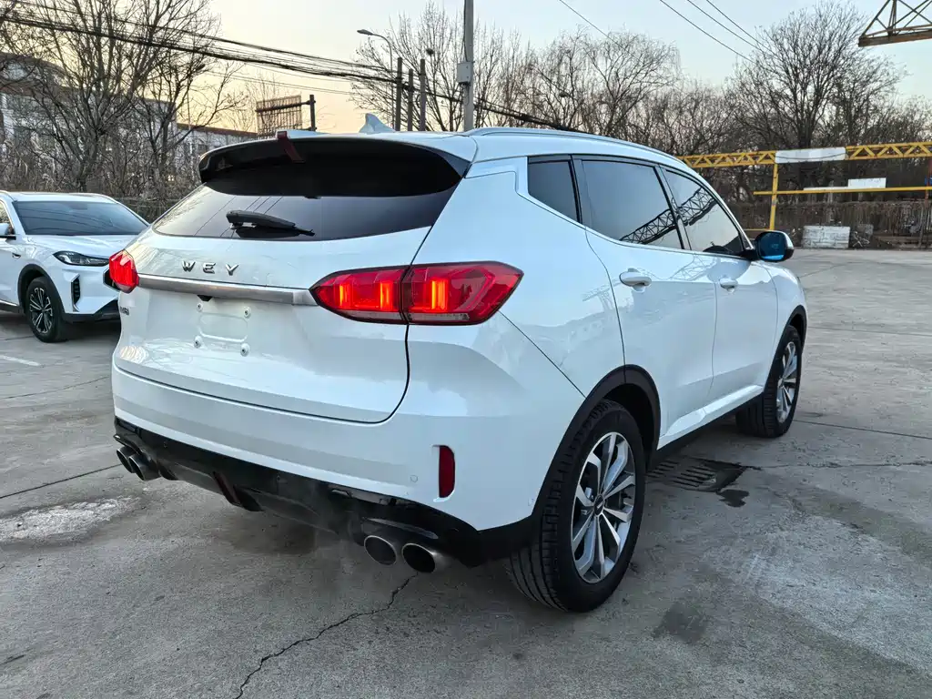 WEI PAI WEI BRAND VV6