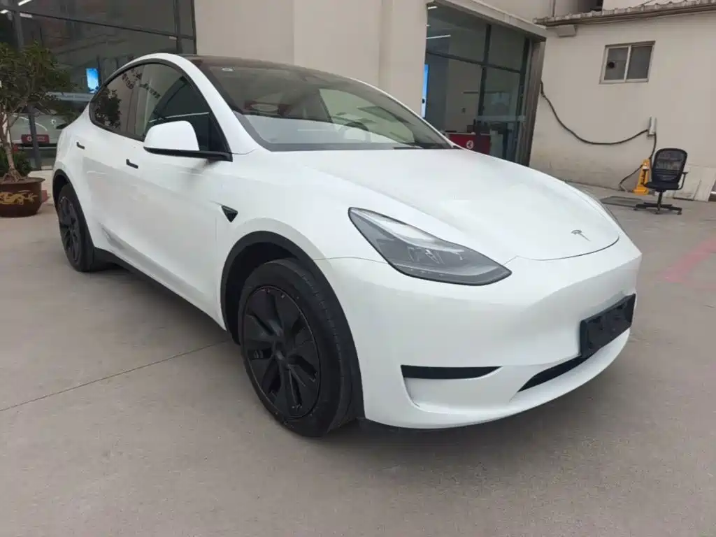 Tesla Model Y — миниатюра 4