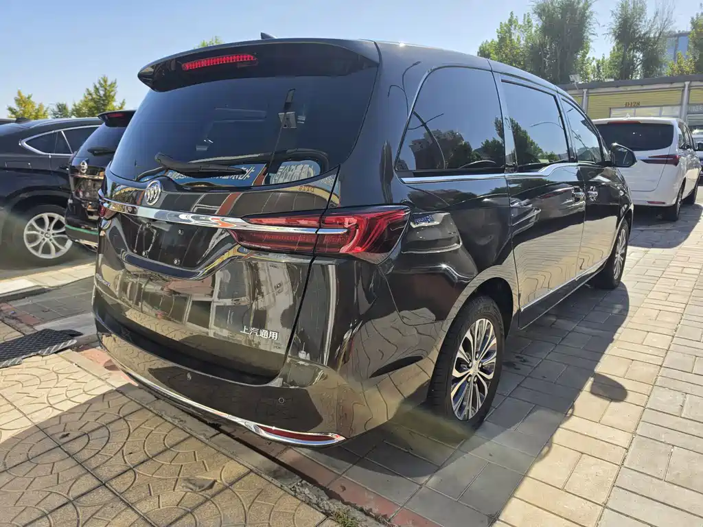Buick GL8 — миниатюра 10