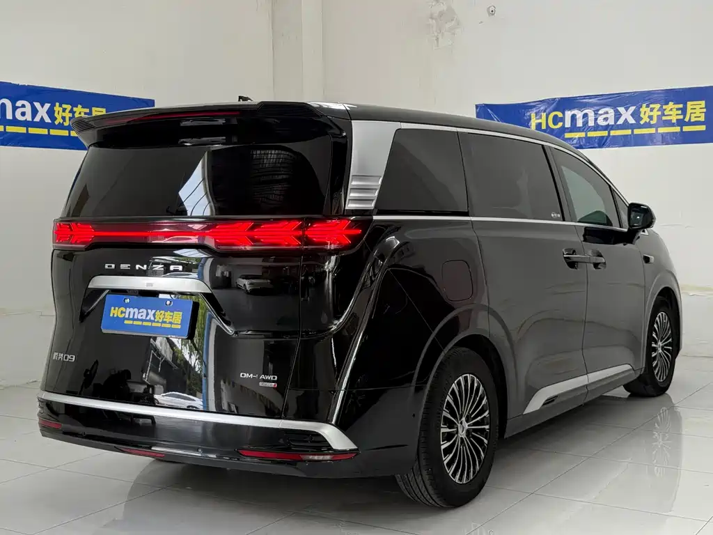 Denza Denza D9 — миниатюра 6