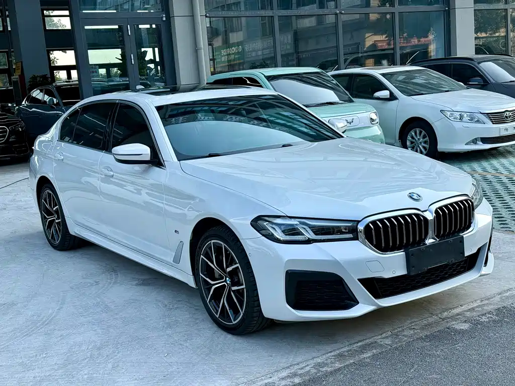 BMW 5 Series — миниатюра 3