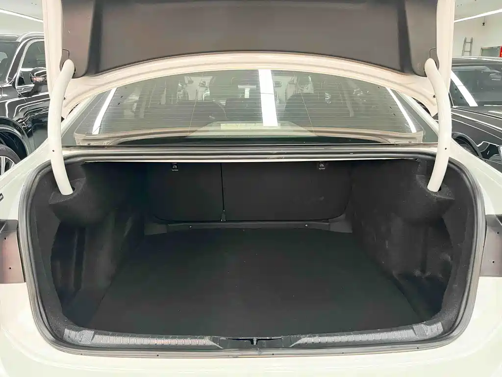 Volkswagen Lamando — миниатюра 21