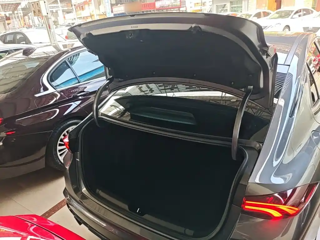 GAC Motor Shadow Leopard — миниатюра 19