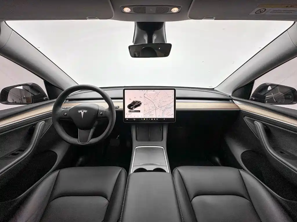 Tesla Model Y — миниатюра 20