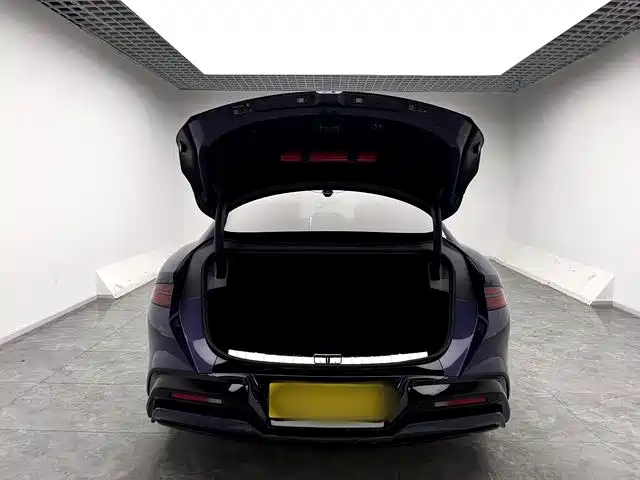 Denza Denza Z9 — миниатюра 13