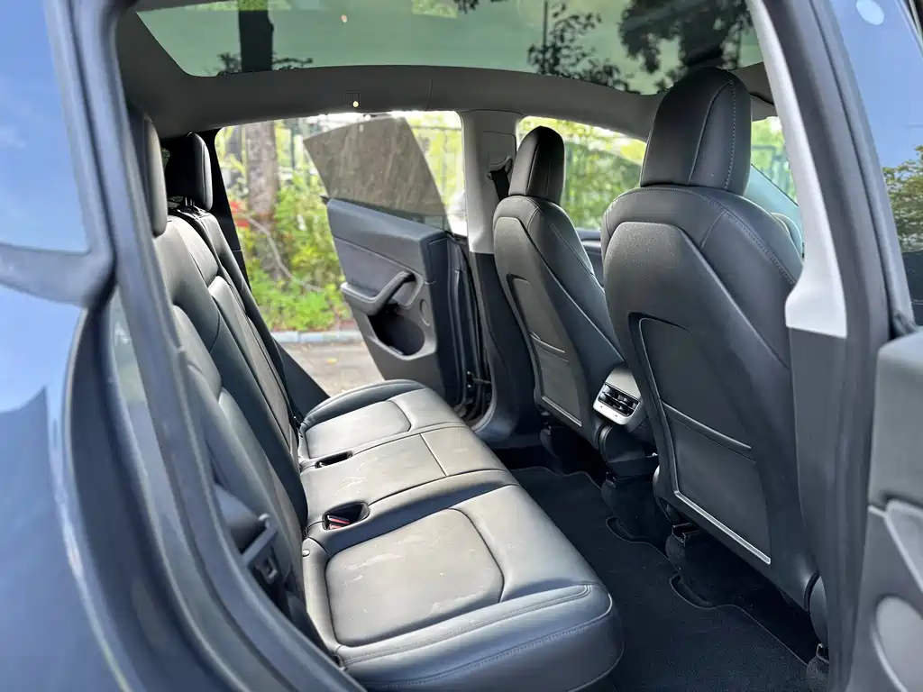 Tesla Model Y — миниатюра 20