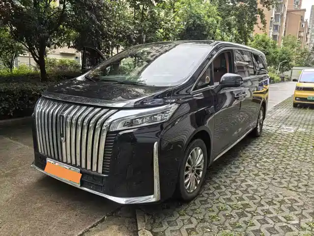 2024 Wey Gaoshan