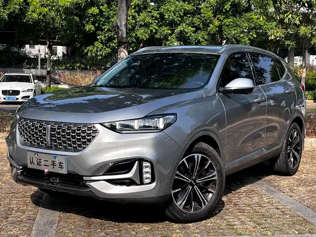 2020 Wey VV6