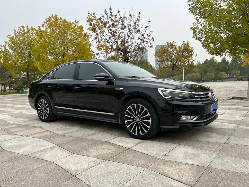 Volkswagen Passat — миниатюра 4