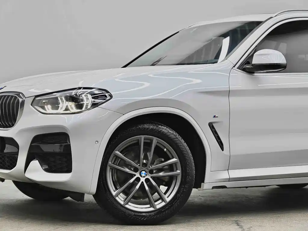 BMW X3 — миниатюра 33