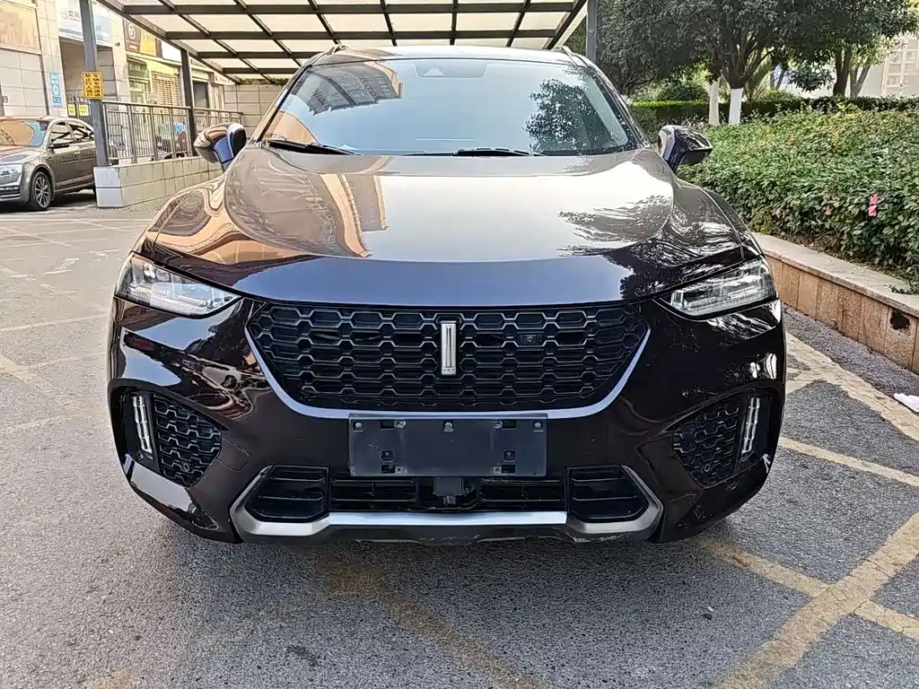 WEI PAI WEI BRAND VV7