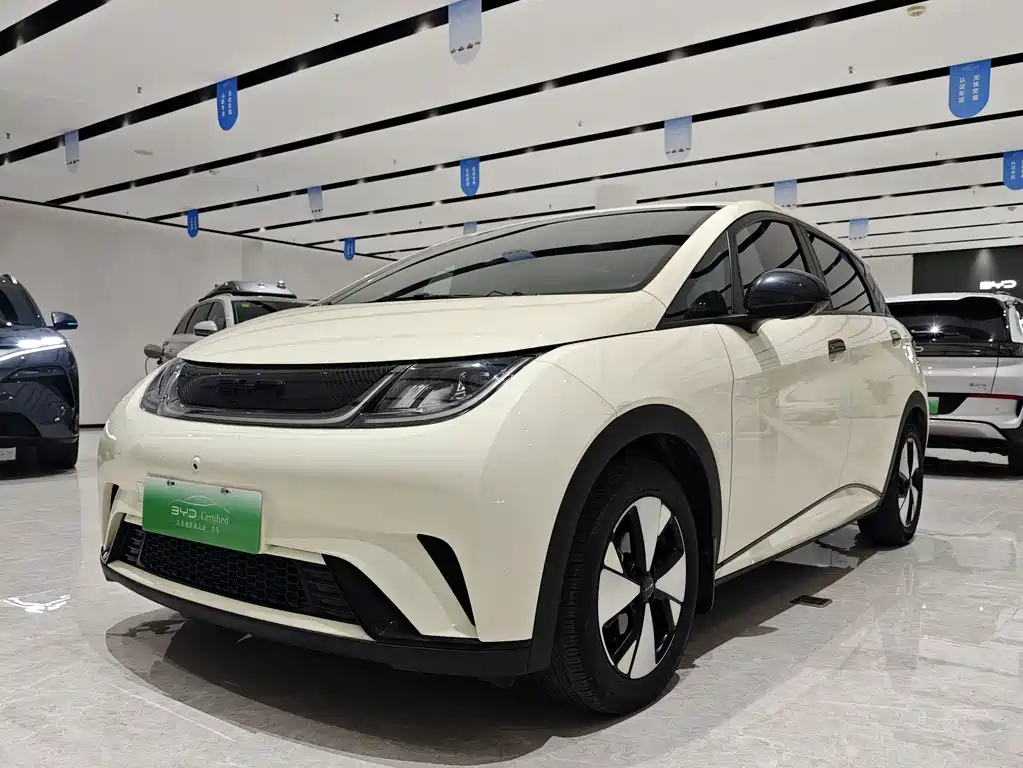 BYD Dolphin 2023 420km Freedom