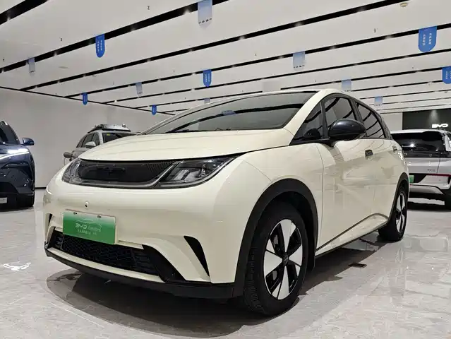 2023 BYD Dolphin