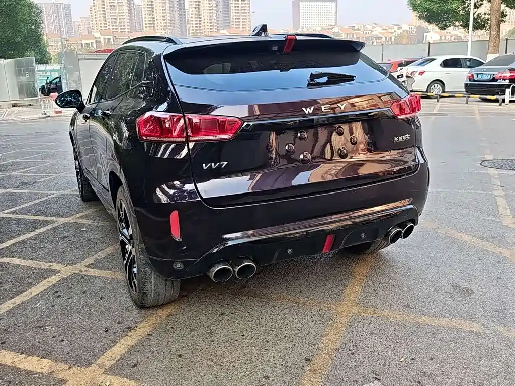 WEI PAI WEI BRAND VV7