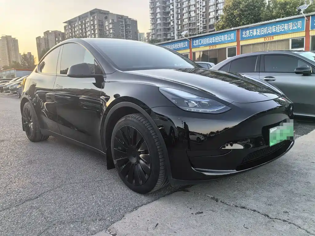 Tesla Model Y — миниатюра 2