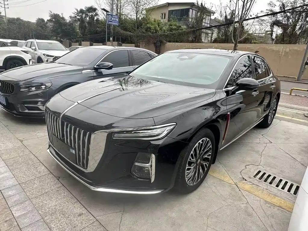 Hongqi Hongqi H5 2024